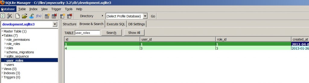User Role Table