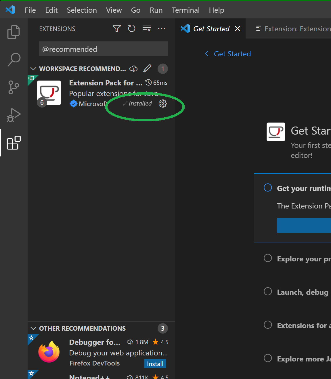 Extensions window showing Java Extensions