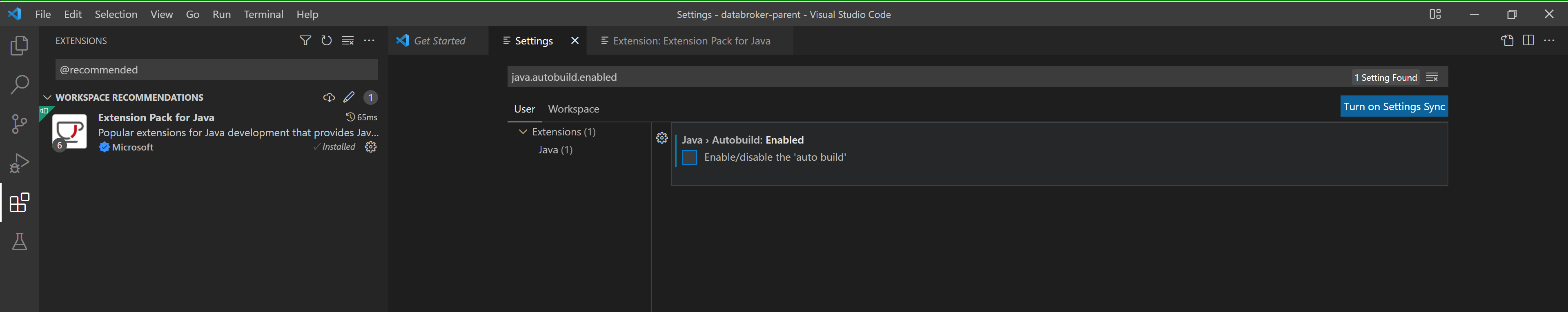 Extensions window showing Java Extensions
